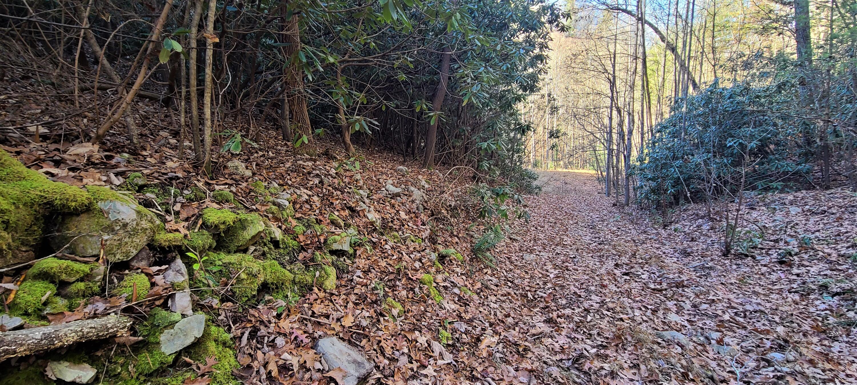 5.63-acres Gaelic Way, Unit 14 Erwin, TN 37650 - Photo 18 of 21 25
