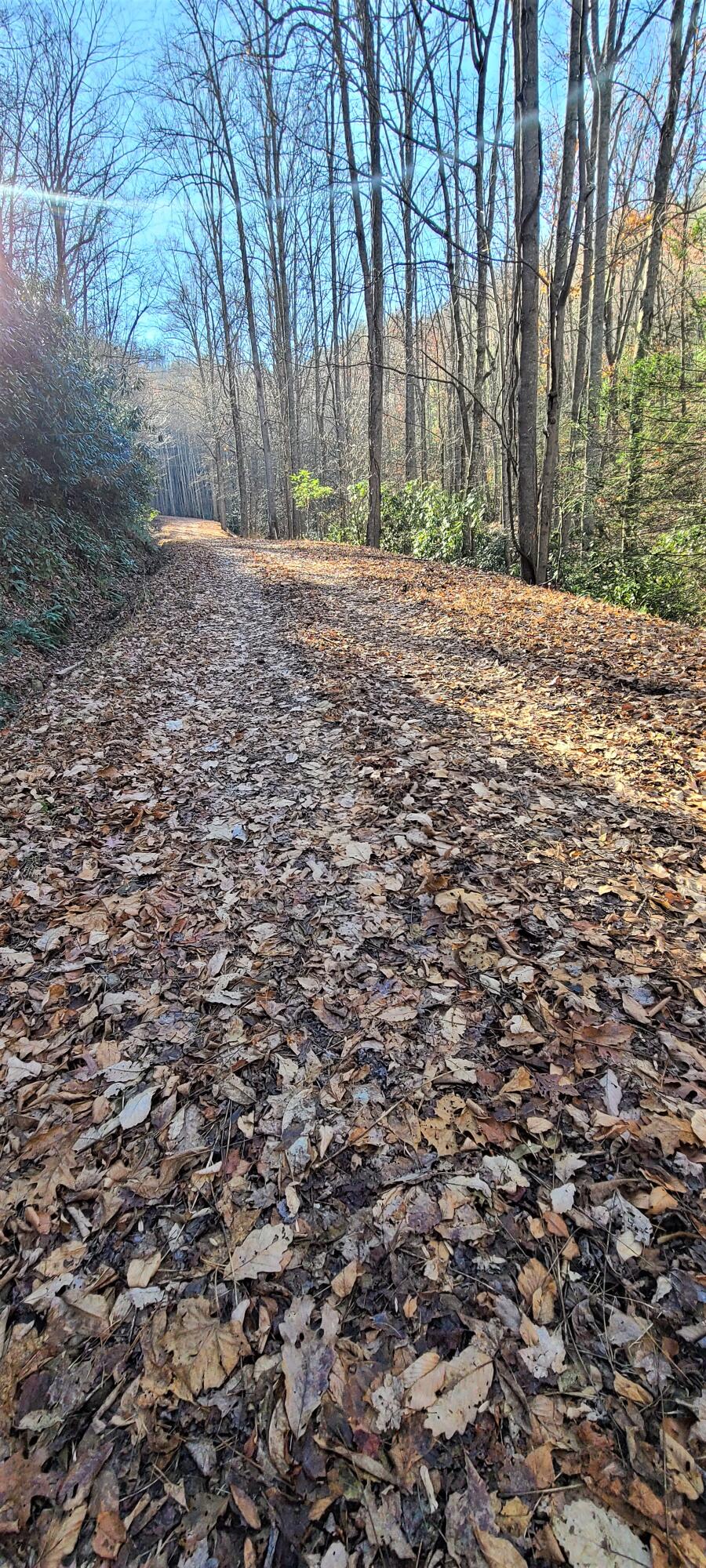 5.63-acres Gaelic Way, Unit 14 Erwin, TN 37650 - Photo 20 of 21 22