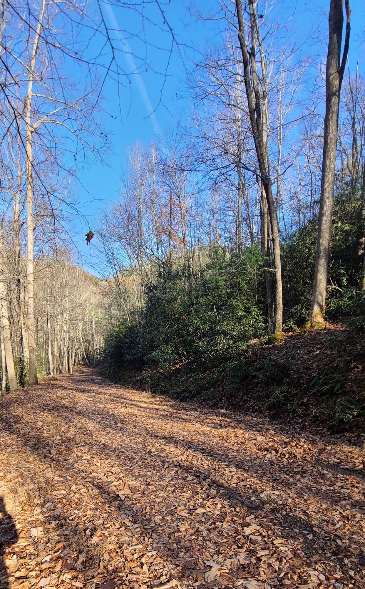 5.63-acres Gaelic Way, Unit 14 Erwin, TN 37650 - Photo 21 of 21 23