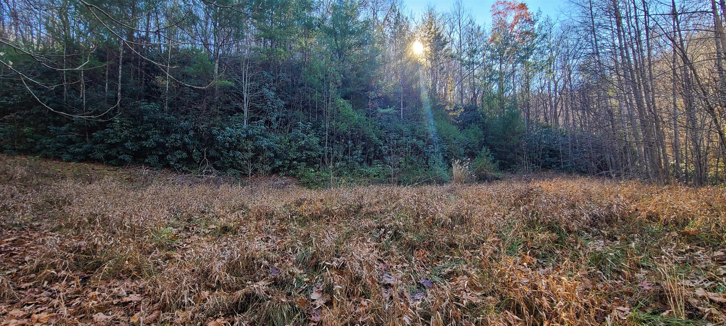 5.63-acres Gaelic Way, Unit 14 Erwin, TN 37650 - Photo 4 of 21 18