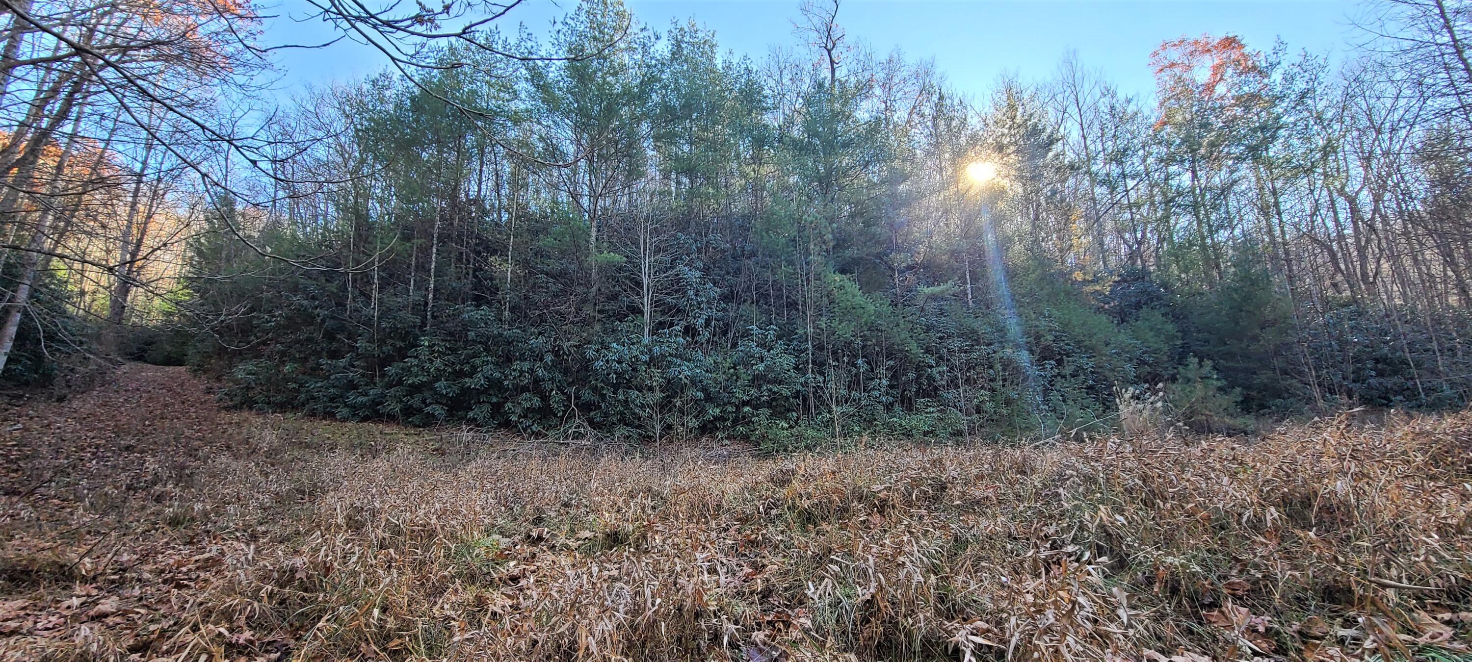 5.63-acres Gaelic Way, Unit 14 Erwin, TN 37650 - Photo 5 of 21 21