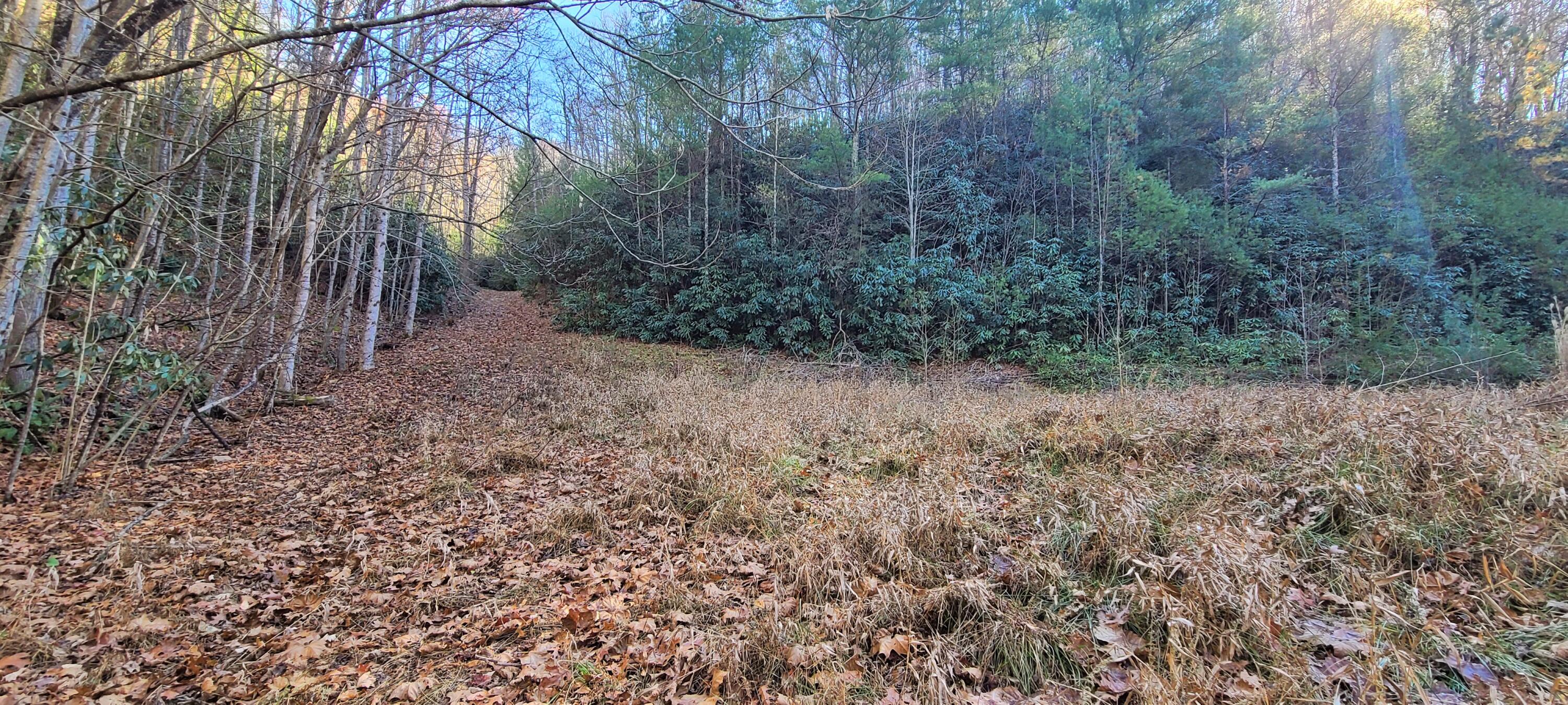 5.63-acres Gaelic Way, Unit 14 Erwin, TN 37650 - Photo 6 of 21 20