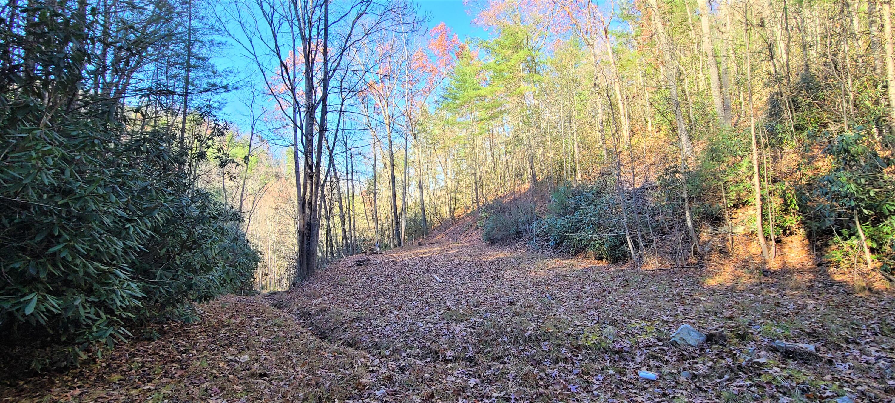 5.63-acres Gaelic Way, Unit 14 Erwin, TN 37650 - Photo 10 of 21 14