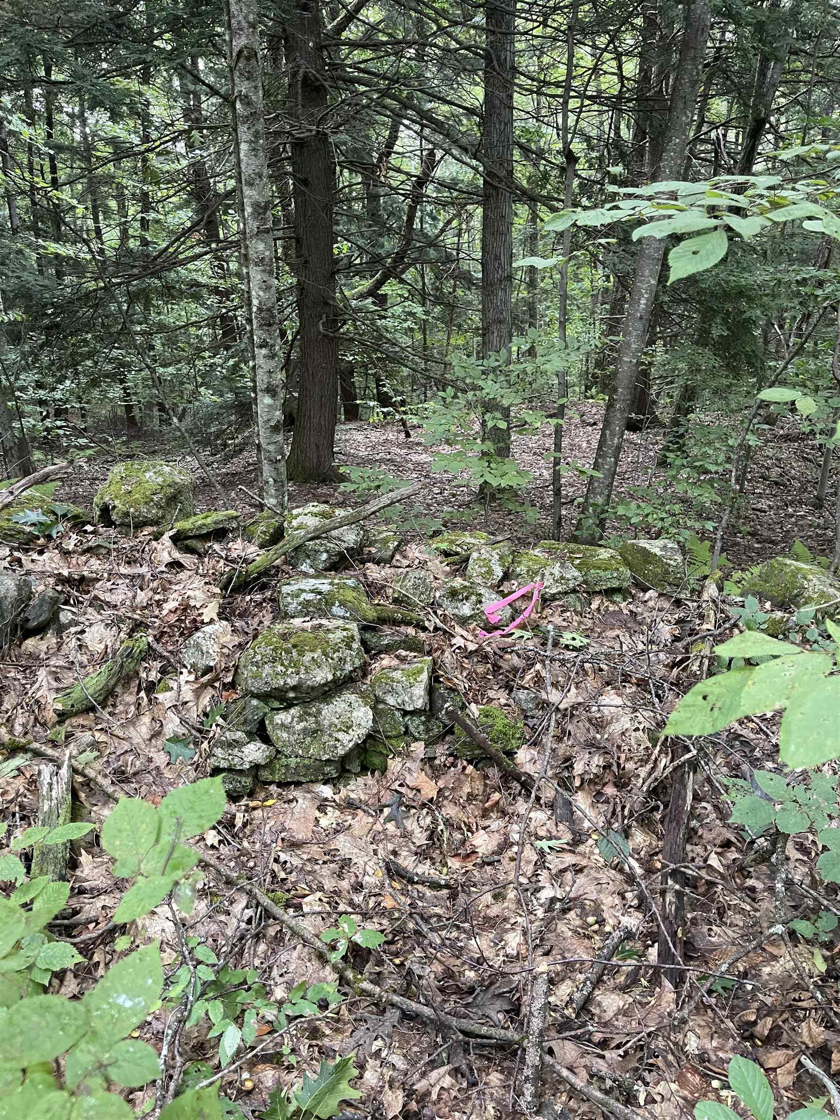 Lot 90 Mine Ledge Road Keene, NH 03431 - Photo 3 of 18