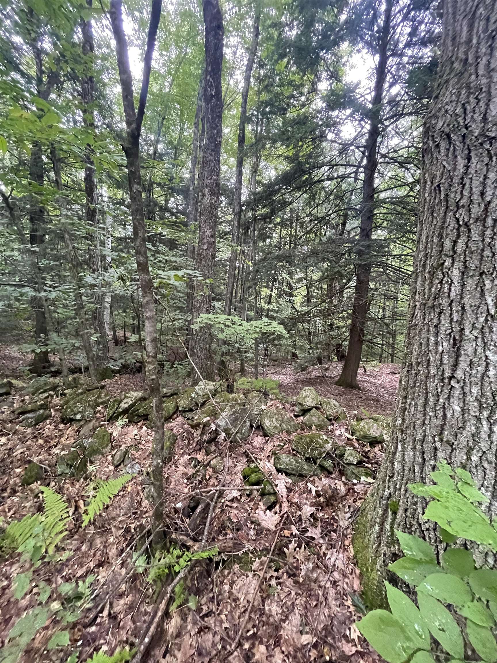 Lot 90 Mine Ledge Road Keene, NH 03431 - Photo 4 of 18