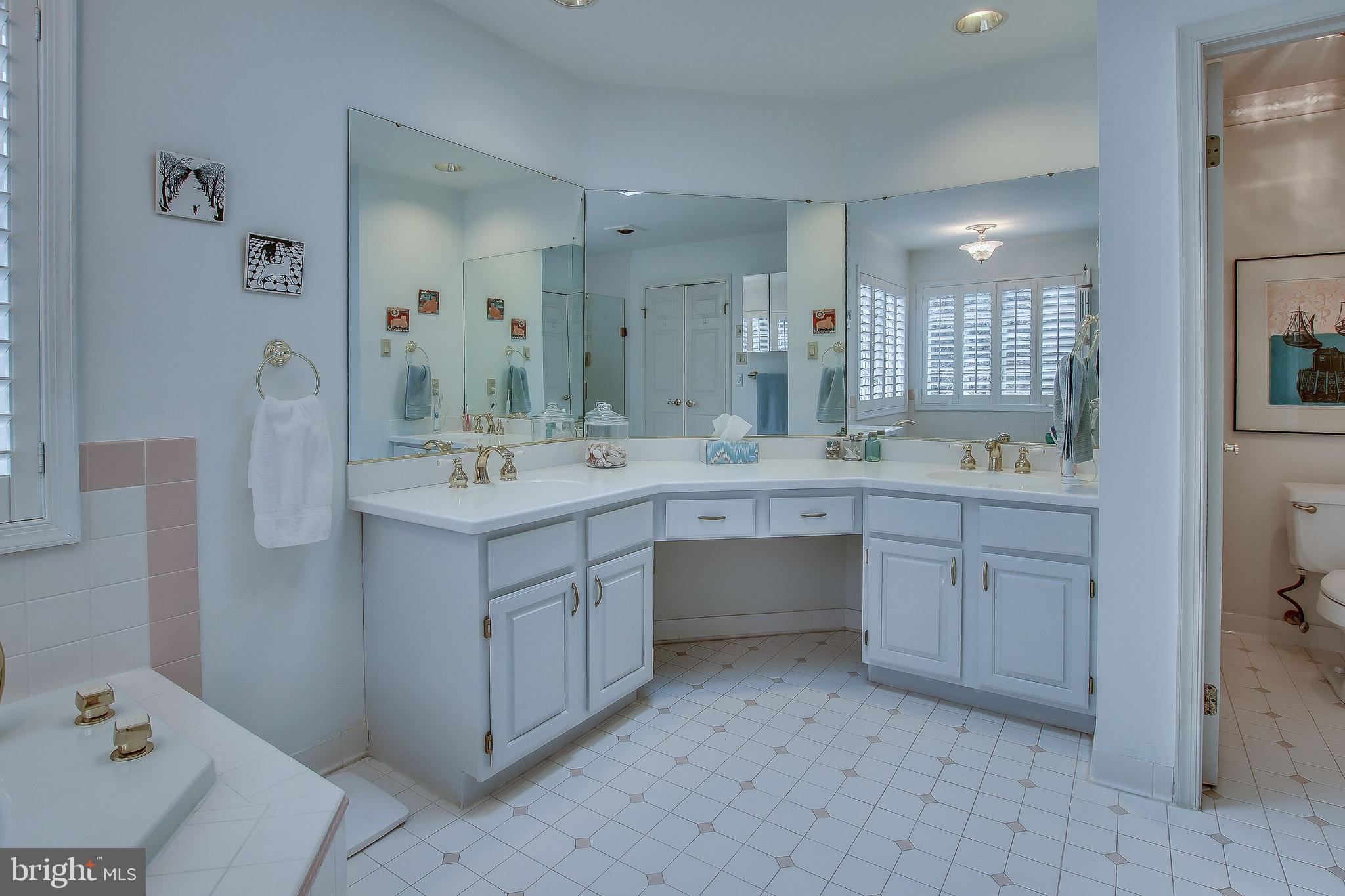 122 Yearsley Mill Road Media, PA 19063 - Photo 31 of 50 Master Bath