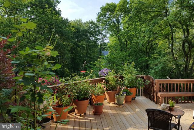 122 Yearsley Mill Road Media, PA 19063 - Photo 48 of 50 Deck