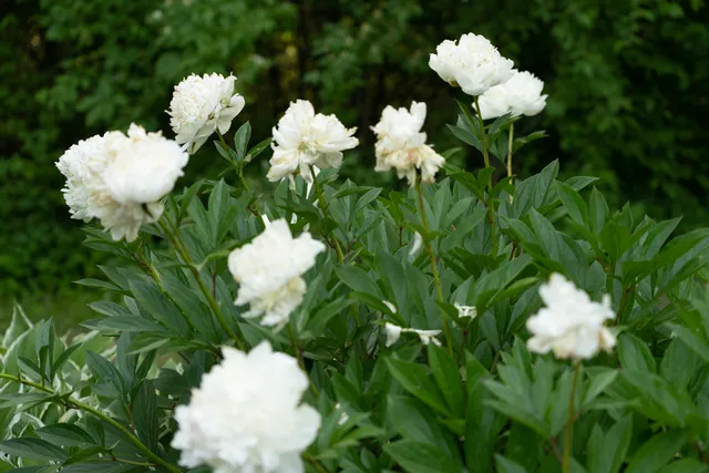 $775,000 | 5814 Highway 173, Richmond, IL 60071