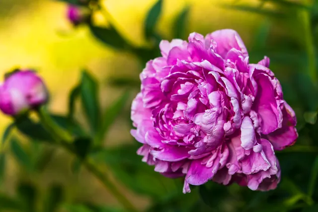 $775,000 | 5814 Highway 173, Richmond, IL 60071