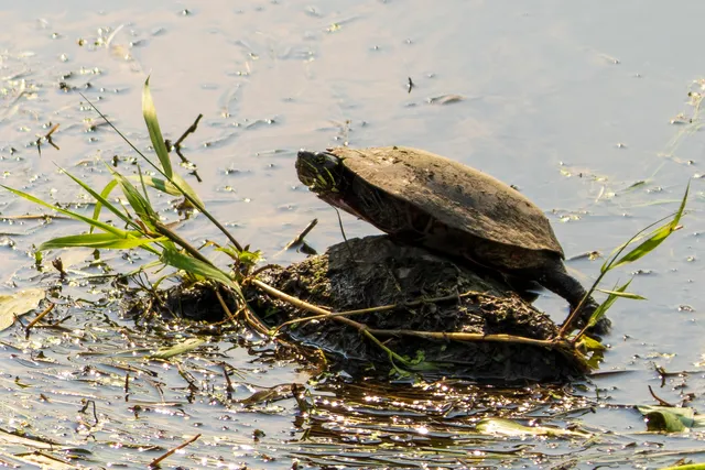 $775,000 | 5814 Highway 173, Richmond, IL 60071