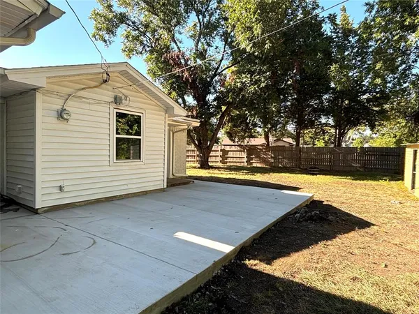 a view of a yard with plants and large trees