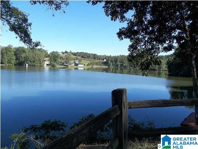 336 Lake Gerald Circle Delta, AL 36258 - Photo 3 of 20