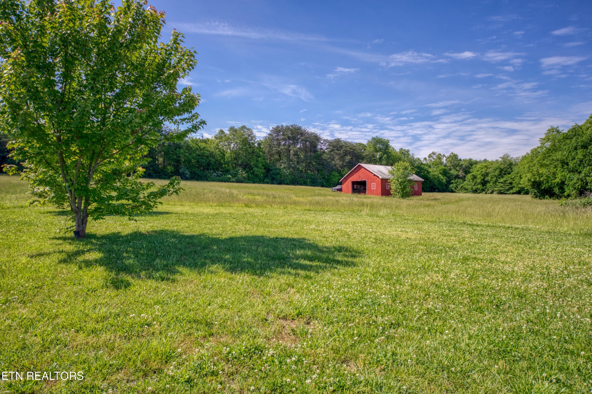 4479 Niles Ferry Road Greenback, TN 37742 - Photo 14 of 42