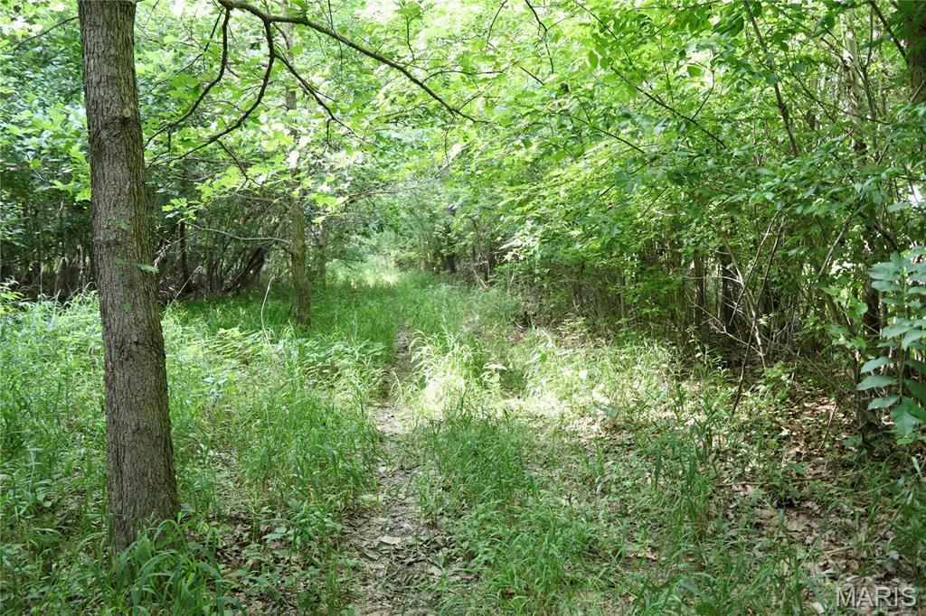 0 Church Road Salem, IL 62881 - Photo 15 of 29