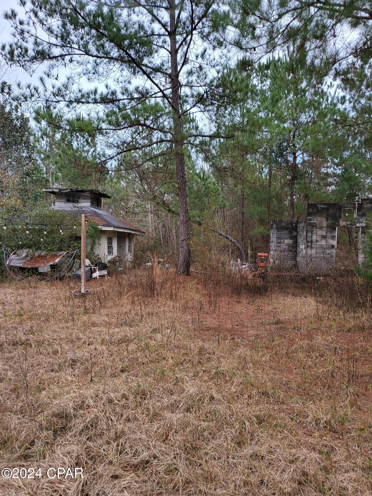 19265 Wrennie Moody Road Blountstown, FL 32424 - Photo 14 of 15