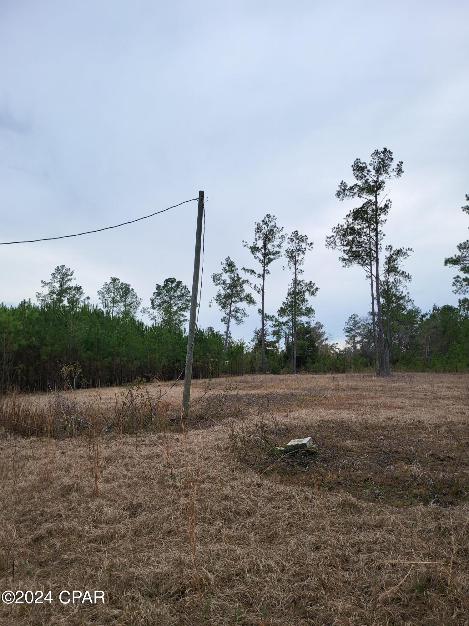 19265 Wrennie Moody Road Blountstown, FL 32424 - Photo 10 of 15