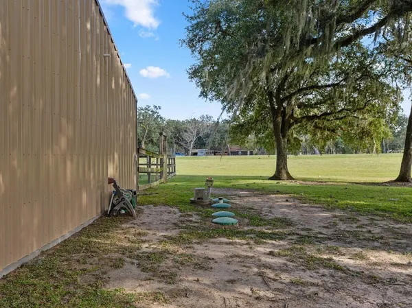 a view of a park with large trees