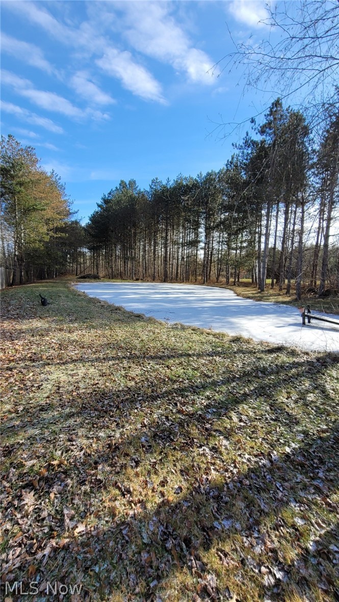 5989 Lance Road Medina, OH 44256 - Photo 4 of 21 Gallery Image 4