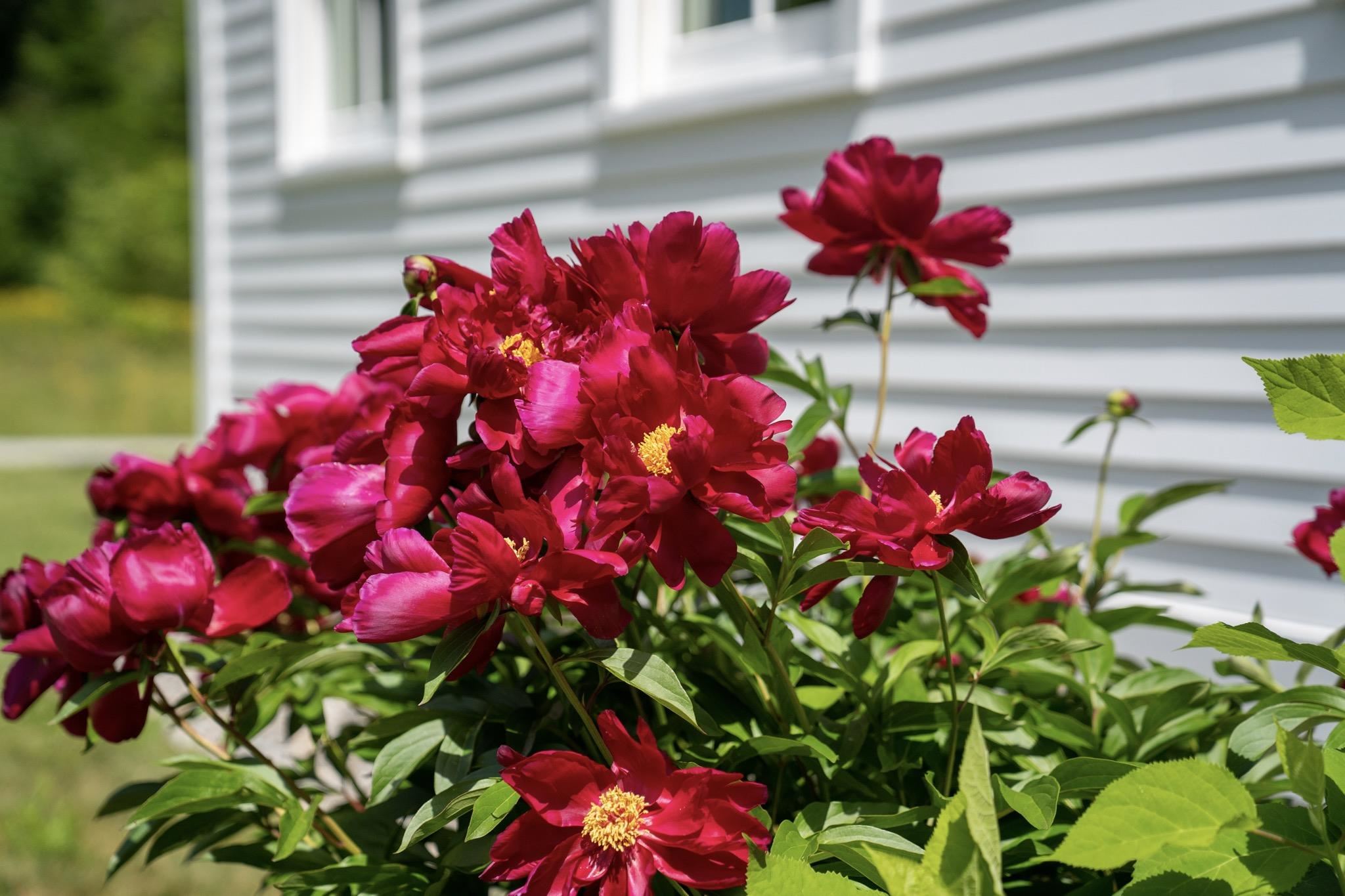 2570 Winhall Hollow Road Londonderry, VT 05155 - Photo 8 of 34 Gallery Image 8