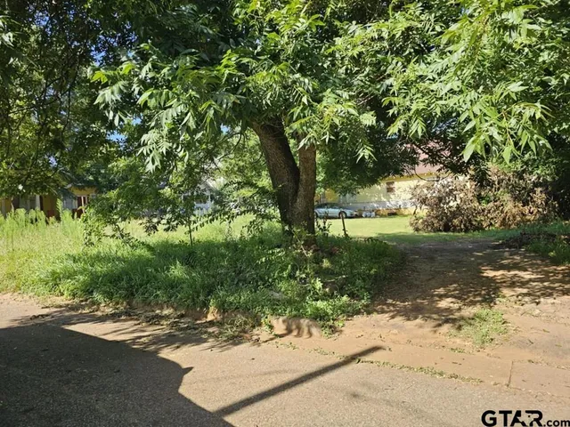 a view of a yard with plants and large trees