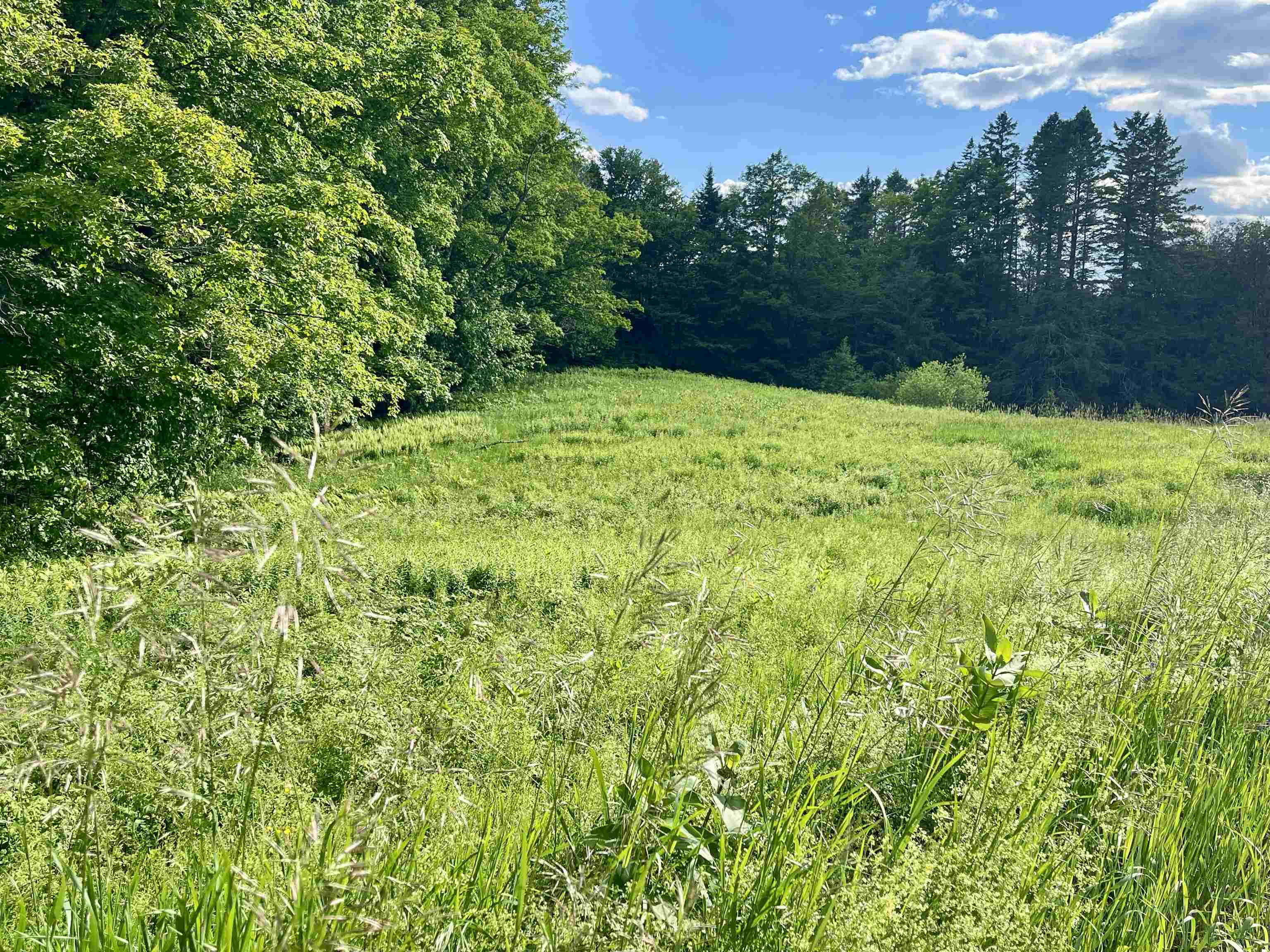 0 Old Farm Road West Burke, VT 05871 - Photo 6 of 14