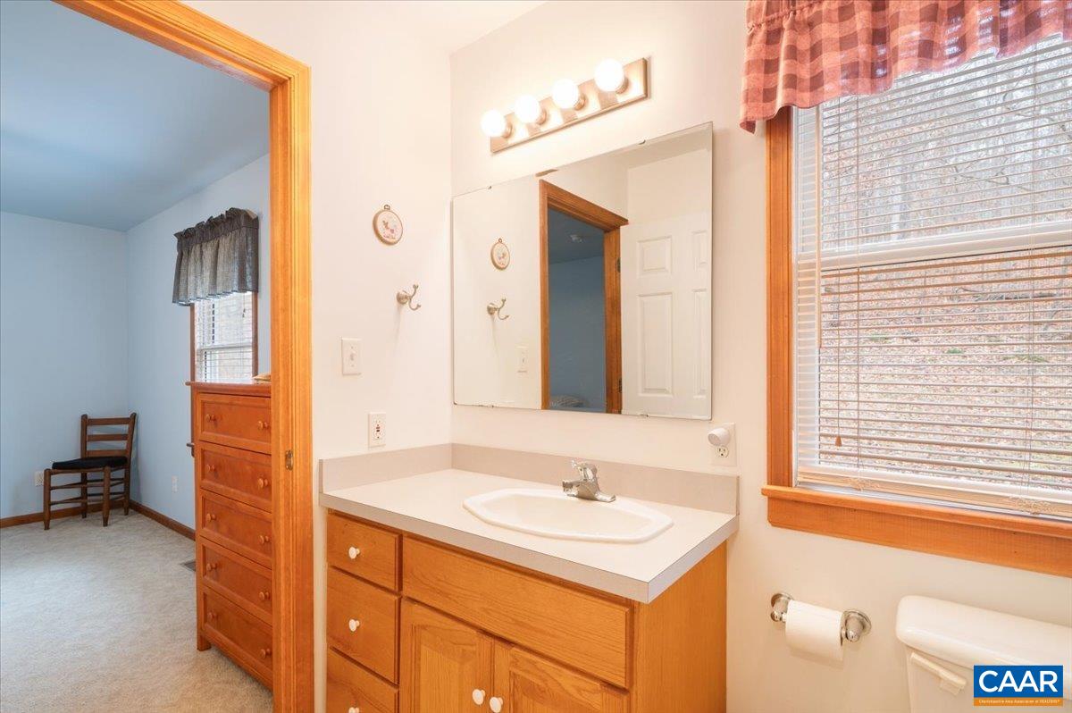 1411 Hill Hollow Road Faber, VA 22938 - Photo 16 of 50 a bathroom with a sink and a mirror