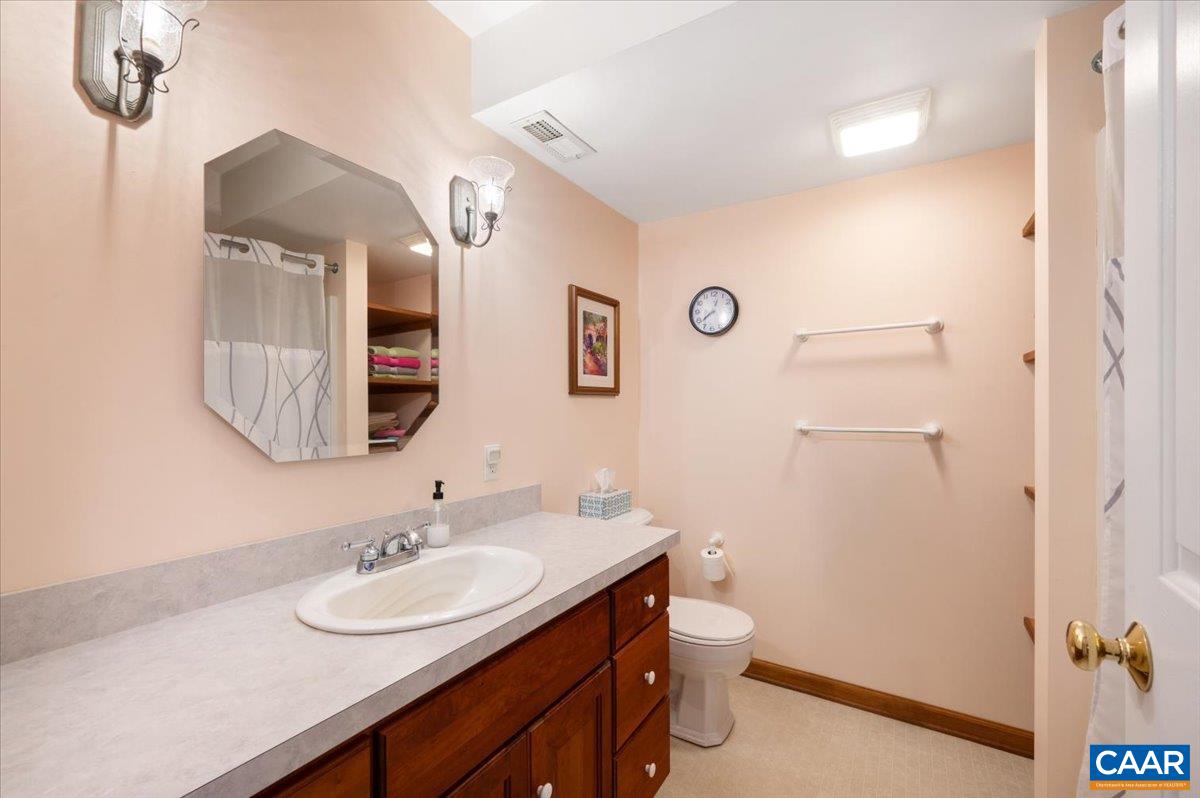 1411 Hill Hollow Road Faber, VA 22938 - Photo 29 of 50 a bathroom with a granite countertop sink toilet and shower
