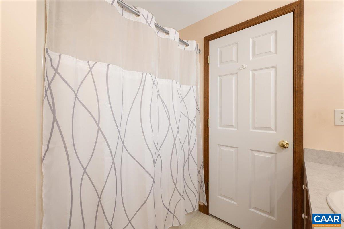 1411 Hill Hollow Road Faber, VA 22938 - Photo 31 of 50 a bathroom with a shower and a window