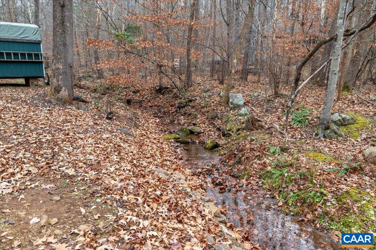 1411 Hill Hollow Road Faber, VA 22938 - Photo 40 of 50 a view of a yard with plants and wooden fence