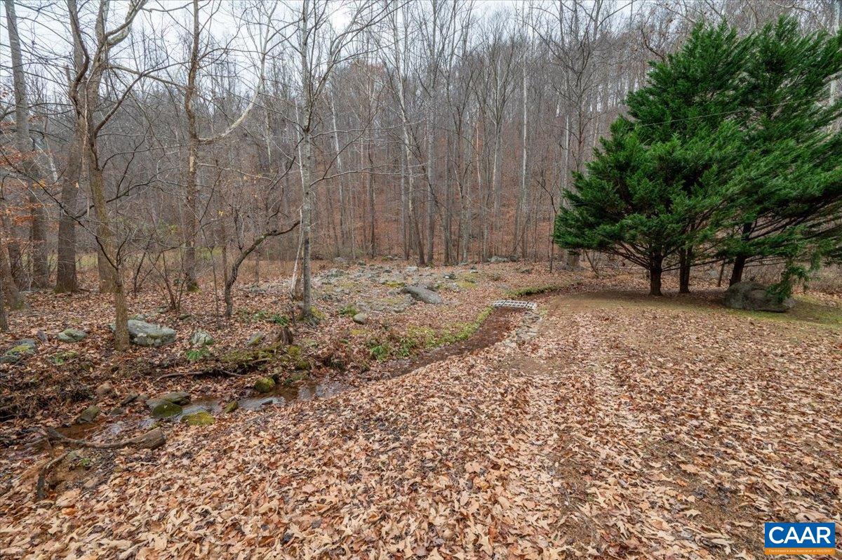 1411 Hill Hollow Road Faber, VA 22938 - Photo 41 of 50 a view of a backyard of the house