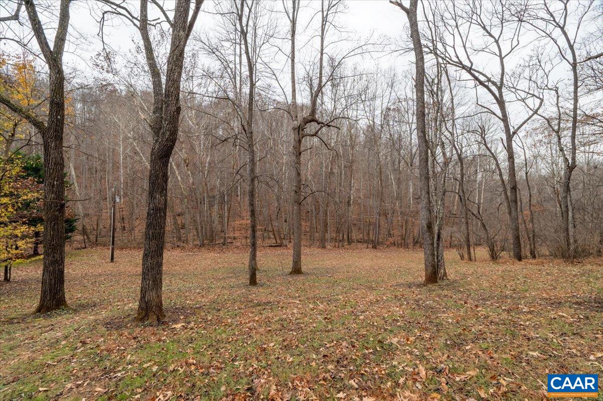 1411 Hill Hollow Road Faber, VA 22938 - Photo 42 of 50 a view of empty space with trees
