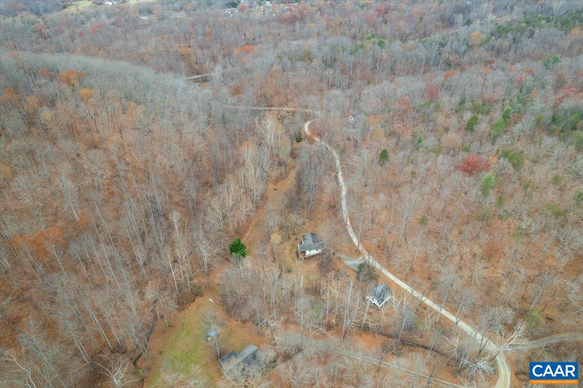1411 Hill Hollow Road Faber, VA 22938 - Photo 47 of 50 a view of a dry yard