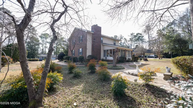 a street view with large trees