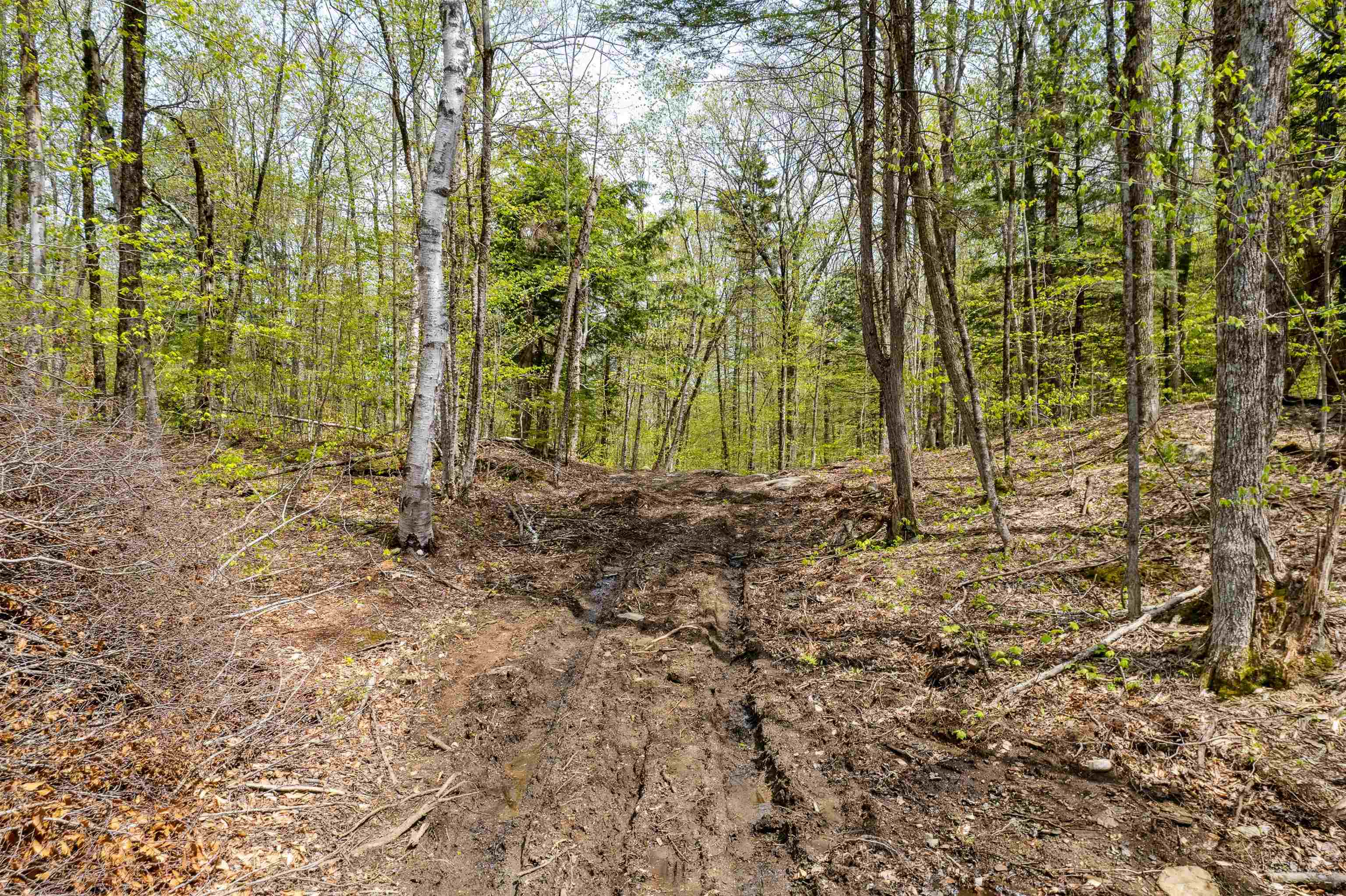 0 Chapel Hill Road, Unit 3 Norwich, VT 05055 - Photo 8 of 20