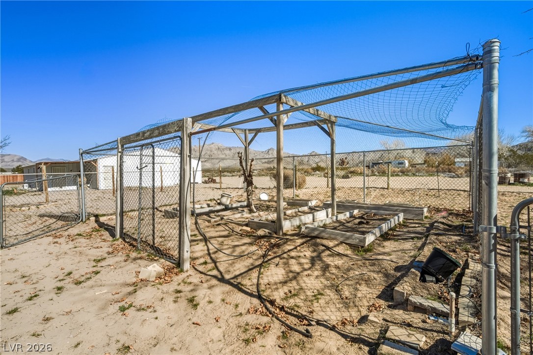 2900 Silver Avenue Sandy Valley, NV 89019 - Photo 13 of 64 irrigated gardens
