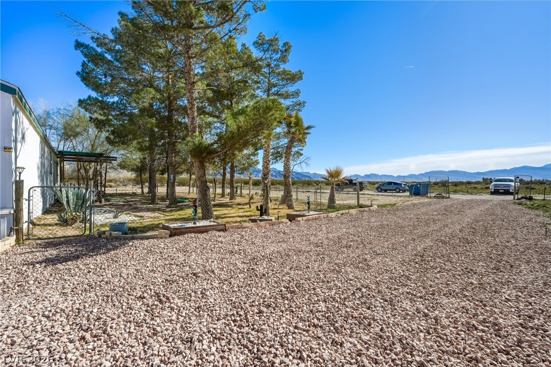 2900 Silver Avenue Sandy Valley, NV 89019 - Photo 10 of 64