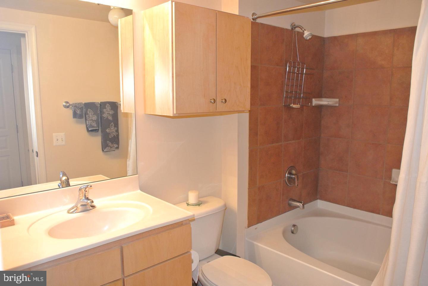 616 E Street Northwest, Unit 447 Washington, DC 20004 - Photo 13 of 28 a bathroom with a sink and a mirror