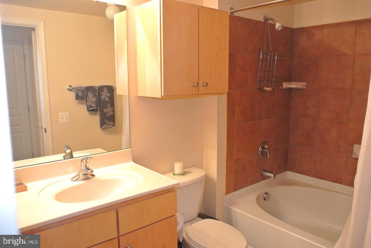 616 E Street Northwest, Unit 447 Washington, DC 20004 - Photo 14 of 28 a bathroom with a sink and a bathtub
