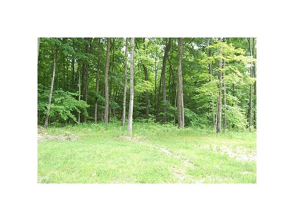6 Colony Road Warren, VT 05674 - Photo 1 of 1