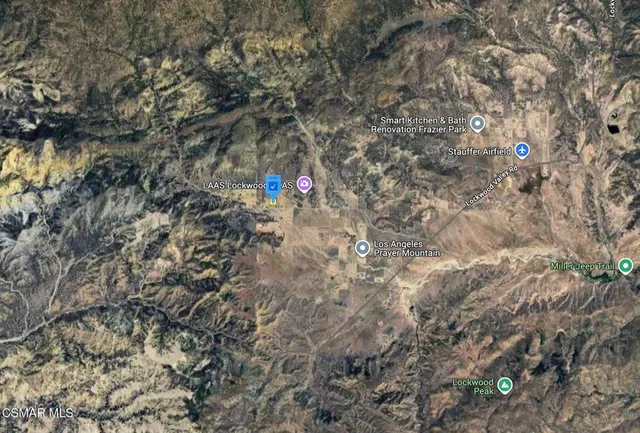 a close up of a tree