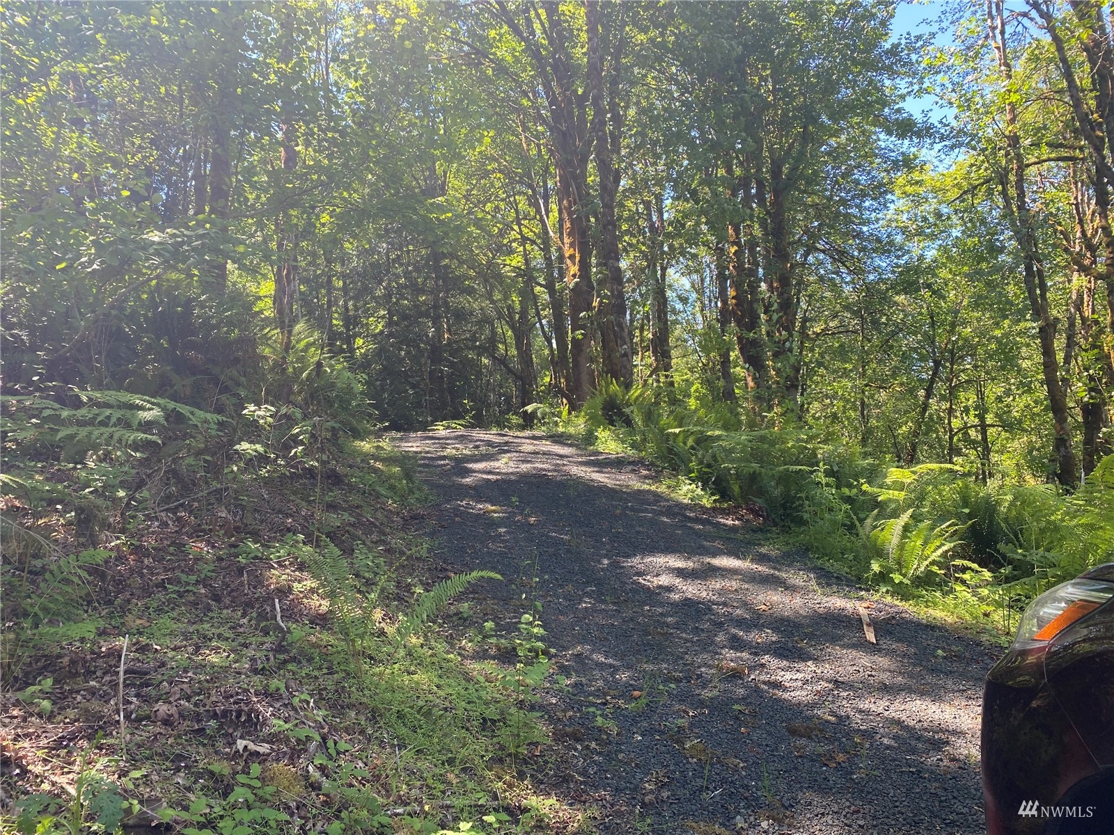 1053 Southeast Binns Swiger Loop Road Shelton, WA 98584 - Photo 2 of 12 a view of outdoor space with trees