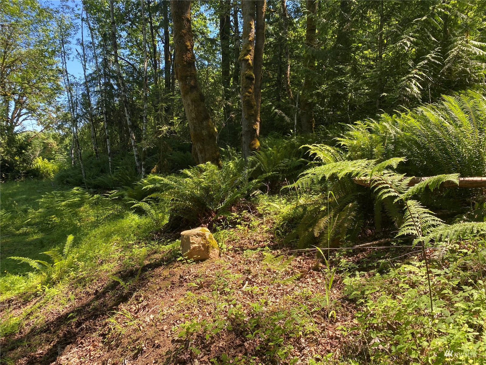 1053 Southeast Binns Swiger Loop Road Shelton, WA 98584 - Photo 4 of 12 a view of a garden