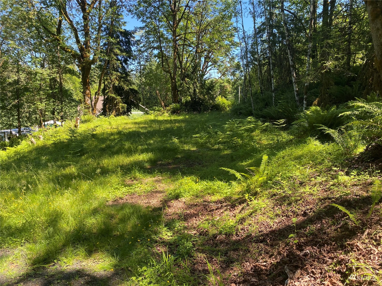 1053 Southeast Binns Swiger Loop Road Shelton, WA 98584 - Photo 6 of 12 a view of outdoor space with a yard