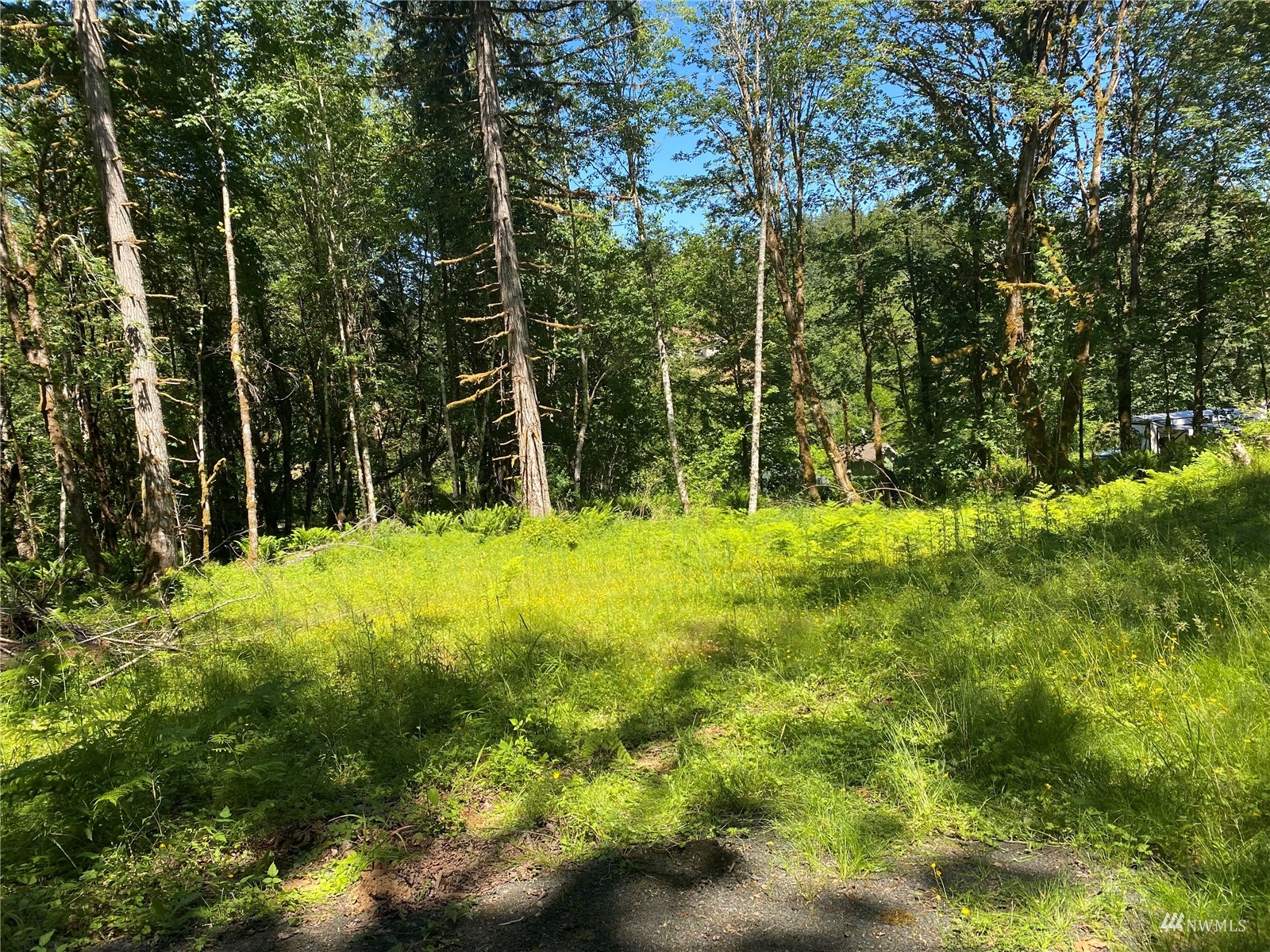 1053 Southeast Binns Swiger Loop Road Shelton, WA 98584 - Photo 7 of 12 a view of outdoor space and yard