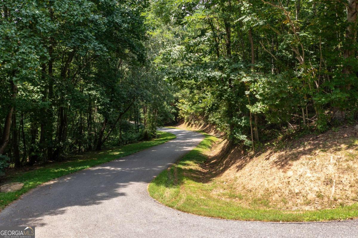 Lot 80 Broken Arrow Trail Hayesville, NC 28904 - Photo 3 of 6 a view of a yard
