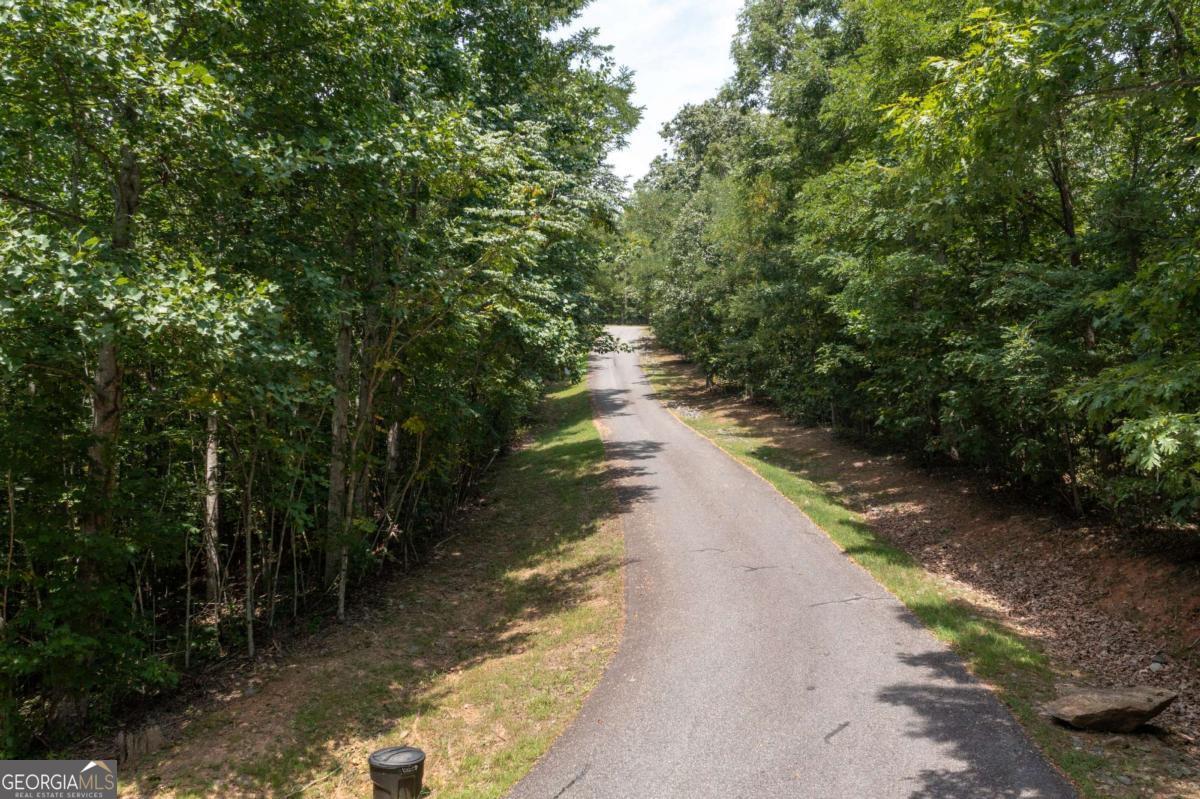 Lot 80 Broken Arrow Trail Hayesville, NC 28904 - Photo 5 of 6 a view of a street with trees on both side of the road