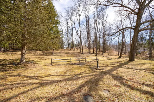 a view of yard and trees