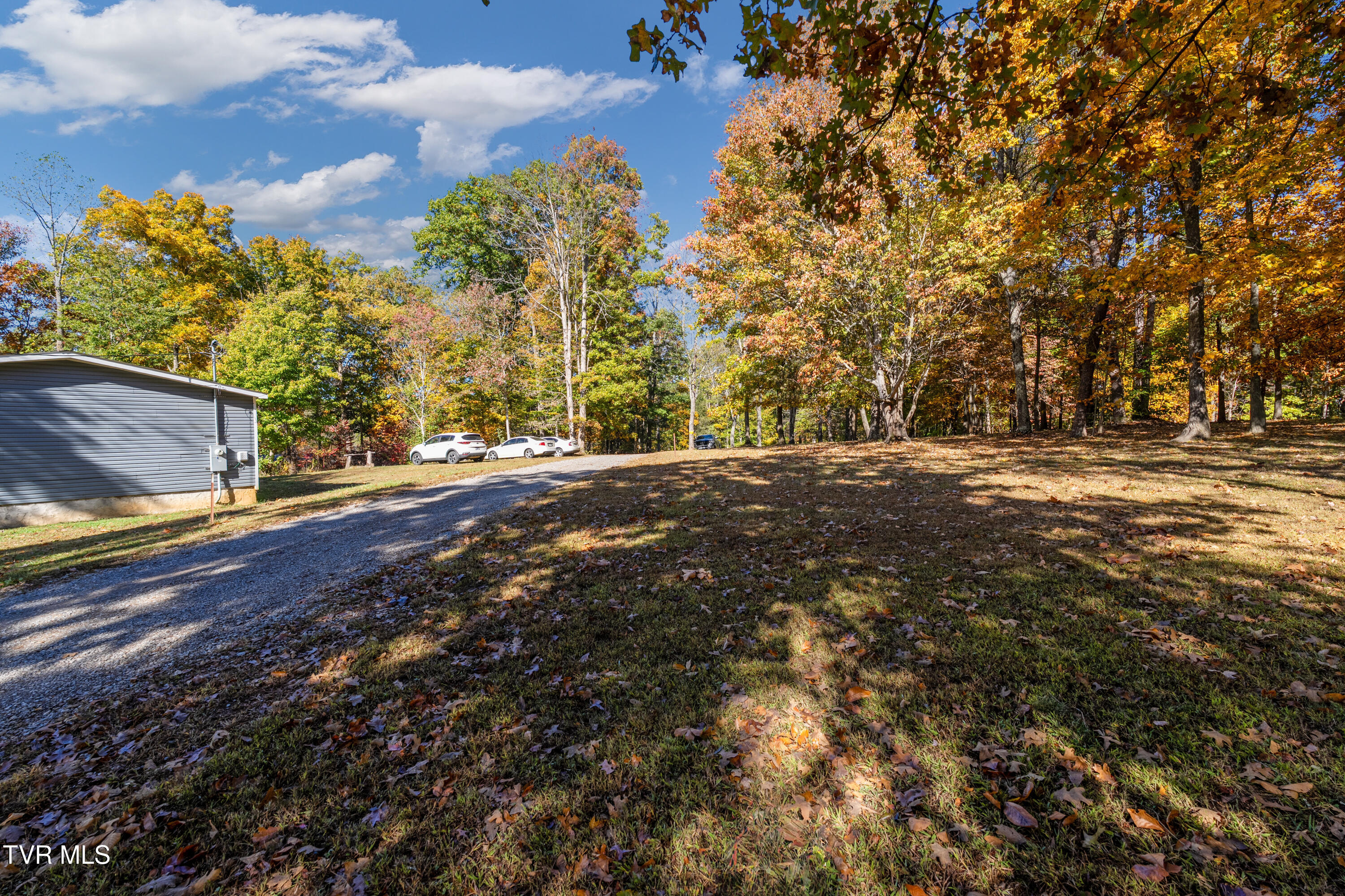 1374 West Allens Bridge Road Greeneville, TN 37743 - Photo 24 of 80 DSC05292 - Copy - Copy