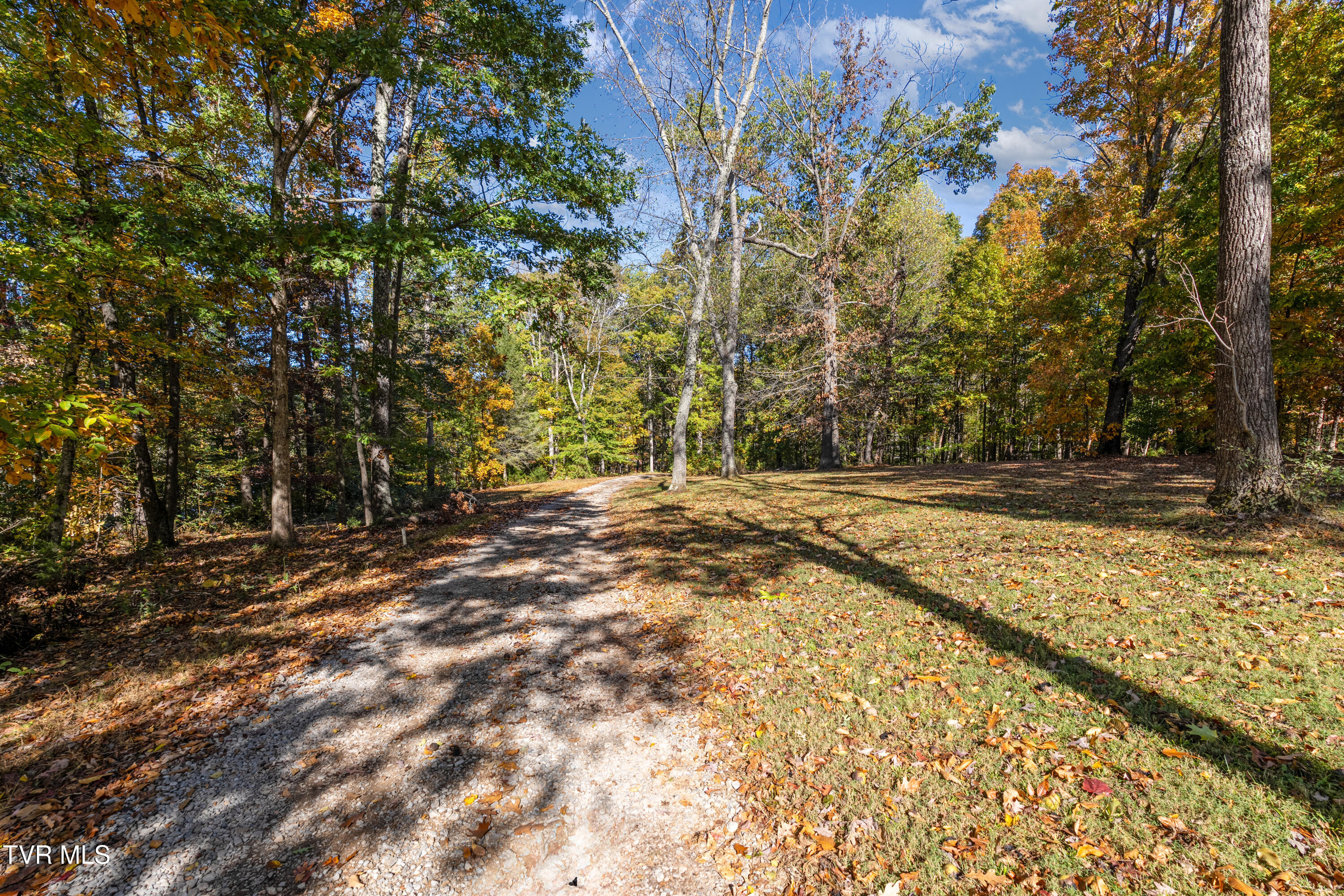 1374 West Allens Bridge Road Greeneville, TN 37743 - Photo 33 of 80 DSC05319