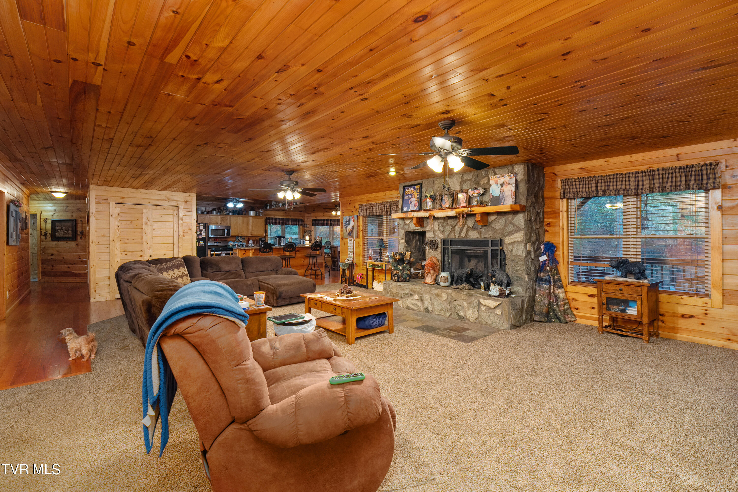 1374 West Allens Bridge Road Greeneville, TN 37743 - Photo 63 of 80 DSC05085 - Copy - Copy